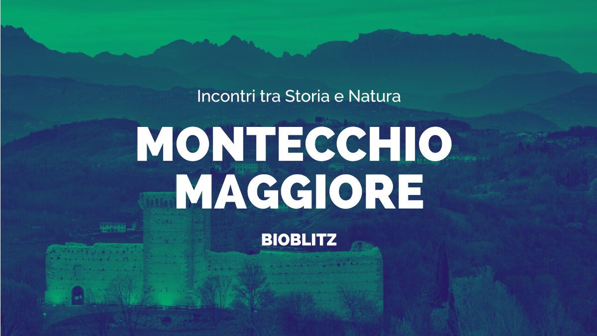 Incontri tra Storia e Natura - EuroBioblitz